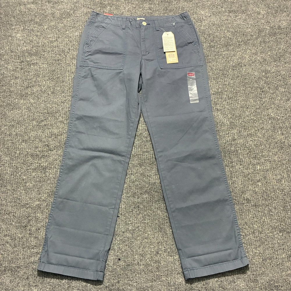 Levi's Mens Chino Pants Size 27 Gray Flat Front Cotton Casual Low Rise